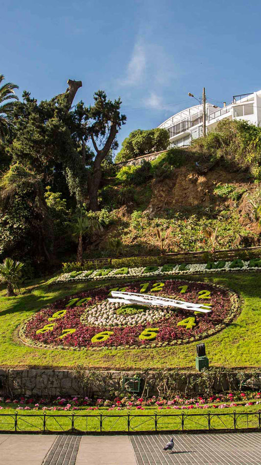 Viña del Mar