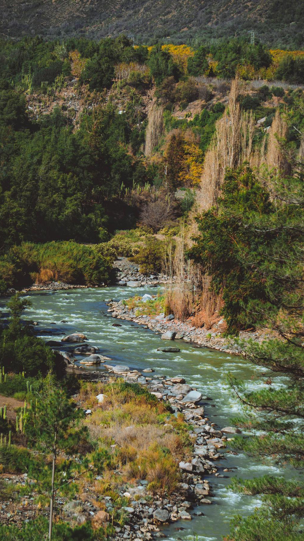 Cajón del Maipo