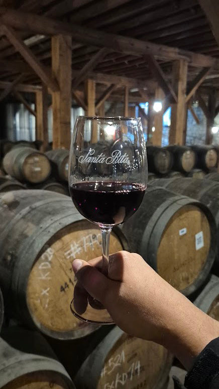 Vineyard Santa Rita 🍷