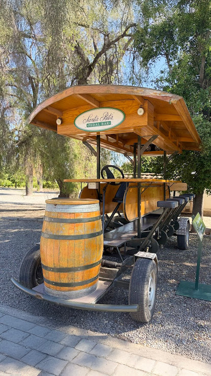 Vineyard Santa Rita 🍷