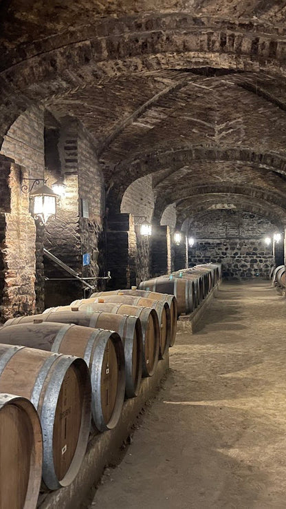Vineyard Santa Rita 🍷