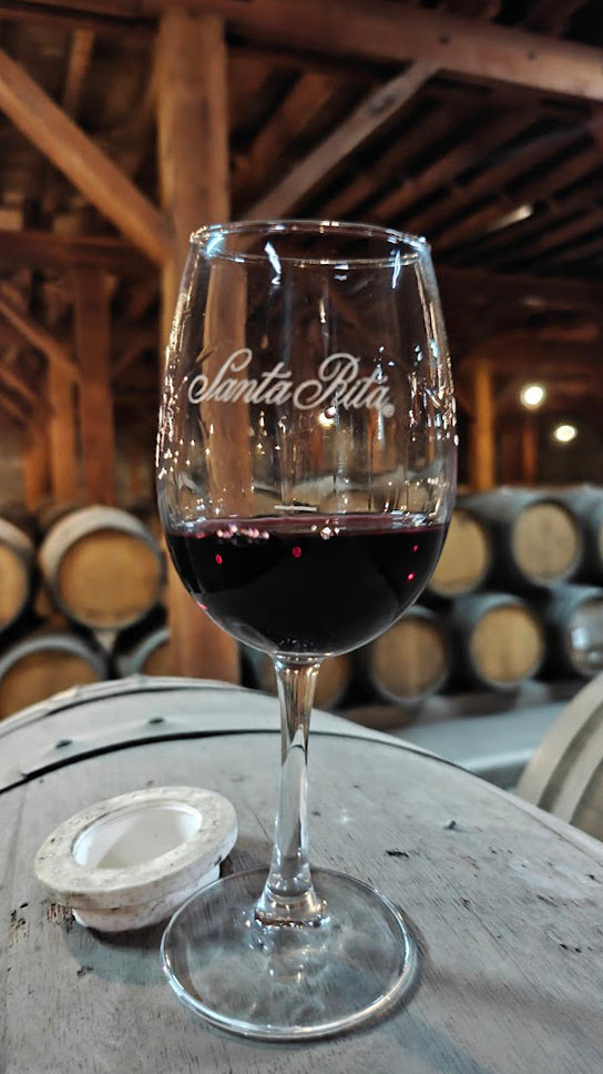 Vineyard Santa Rita 🍷