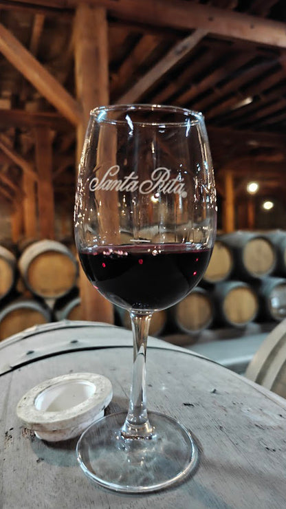 Vineyard Santa Rita 🍷